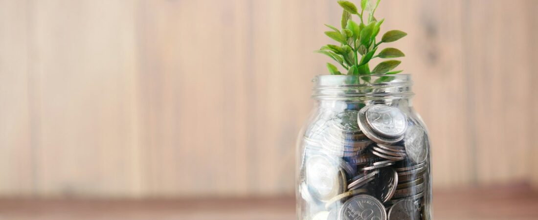 Domingo é dia de organizar as finanças (sem sofrimento nenhum)