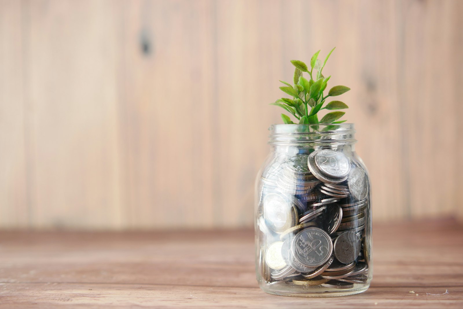 Domingo é dia de organizar as finanças (sem sofrimento nenhum)